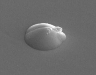 Der Spiegeloberfläche